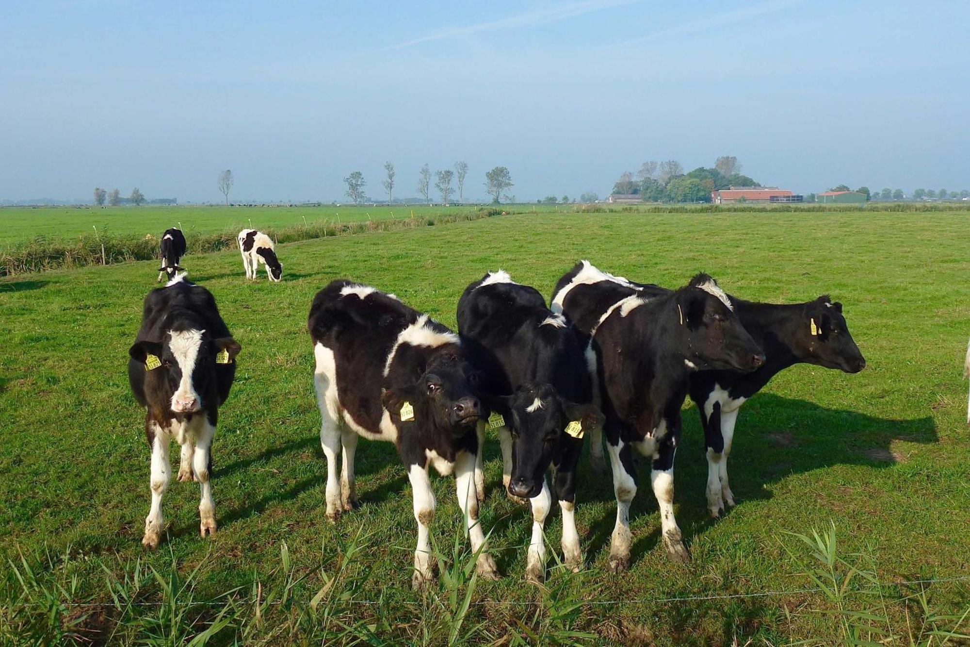 Ferienhof Van Vlyten_ 45006 Jemgum Luaran gambar