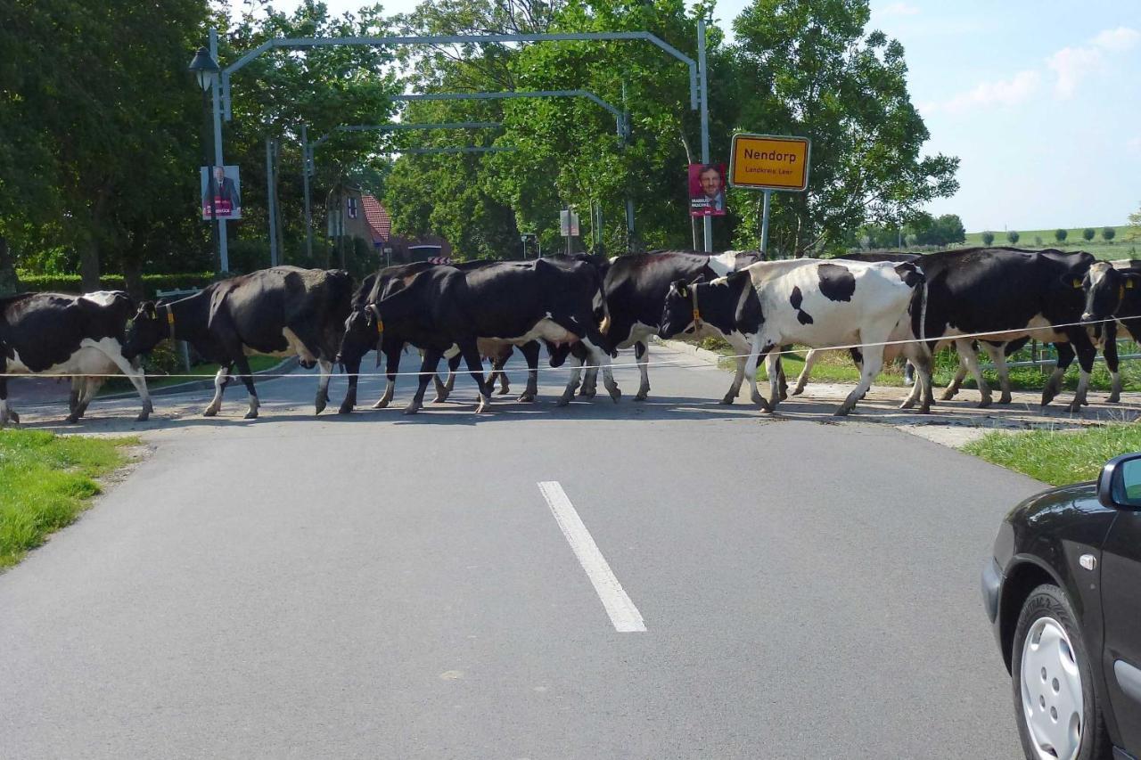 Ferienhof Van Vlyten_ 45006 Jemgum Luaran gambar